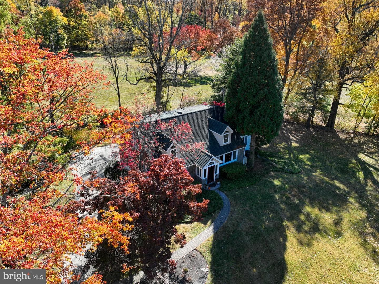 233 Sinkler Drive photo 44