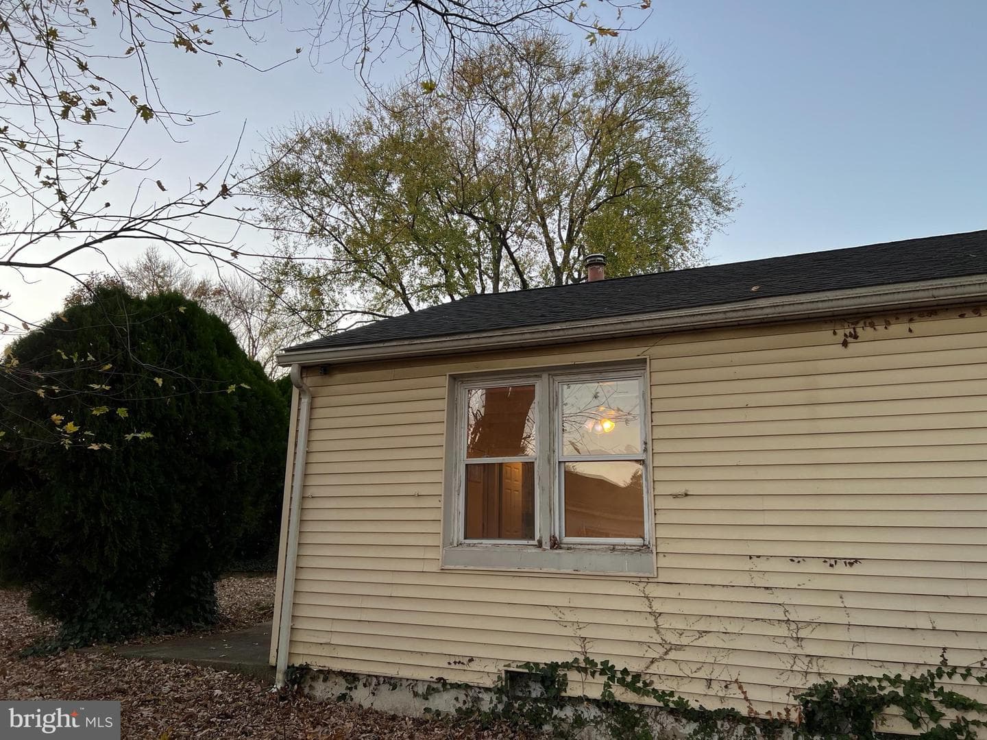 706 Madison Court photo 11