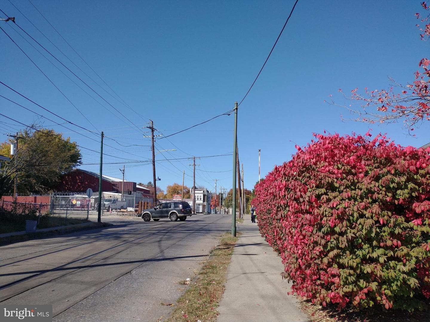 908 Cedar Avenue photo 6