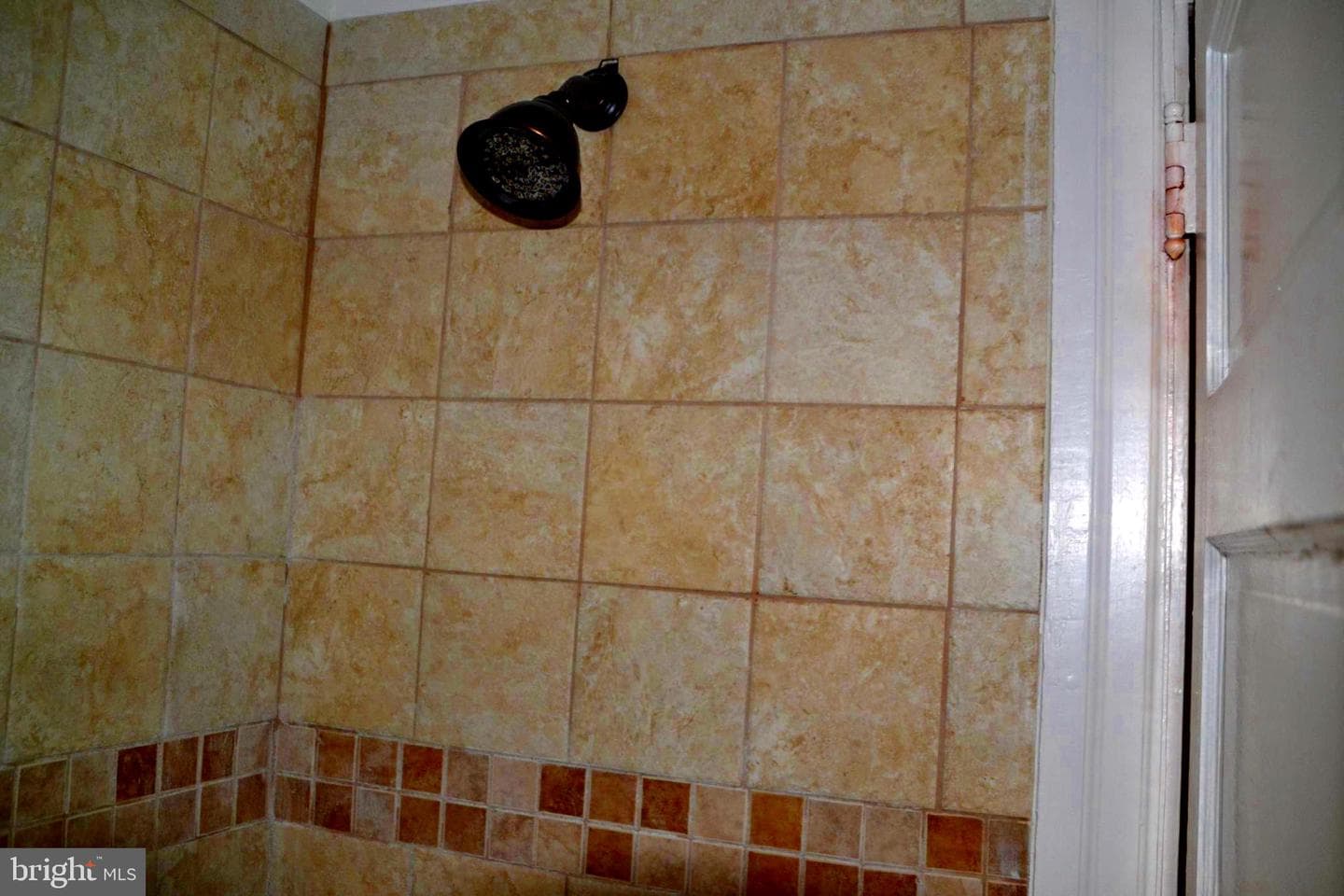 234 Lewis Avenue photo 33