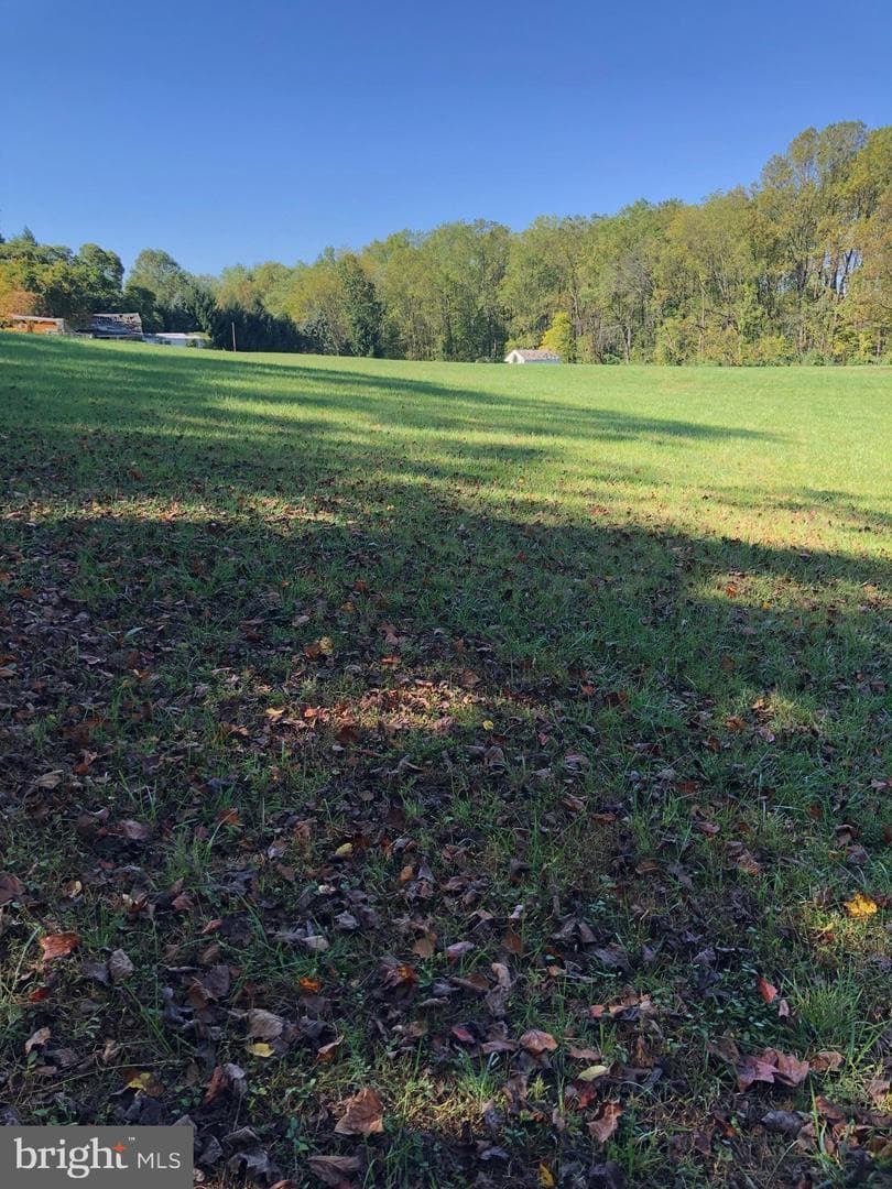 1545 Pheasant Lane photo 3