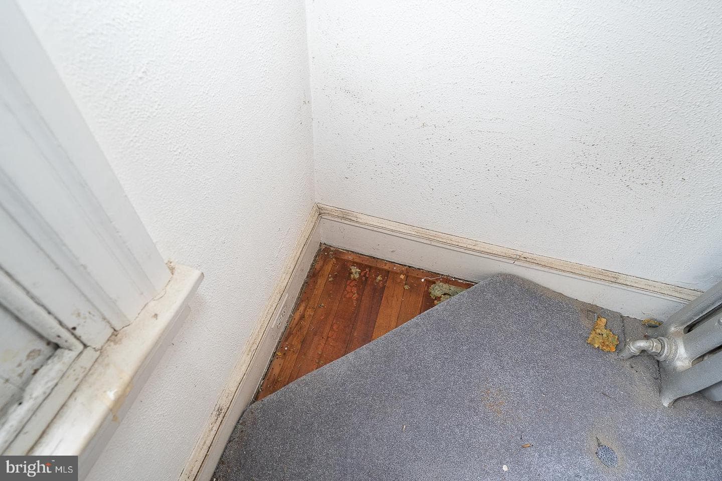 111 Bishop Hollow Road photo 33