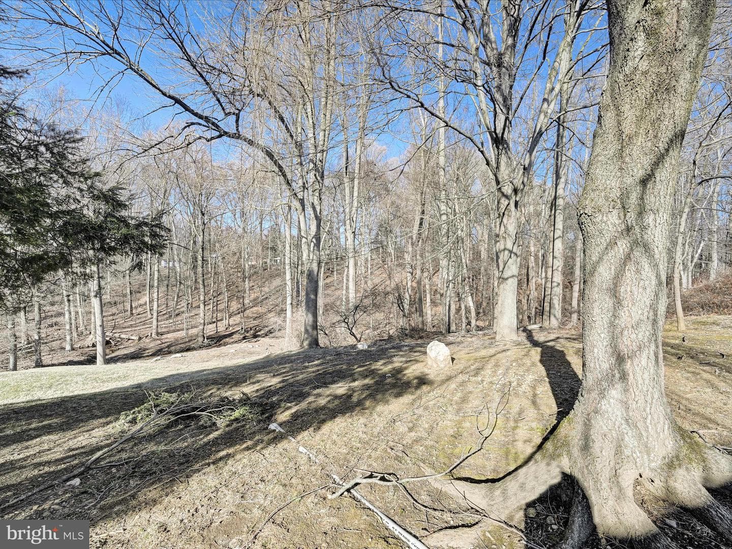 2530 Parke Lane photo 33