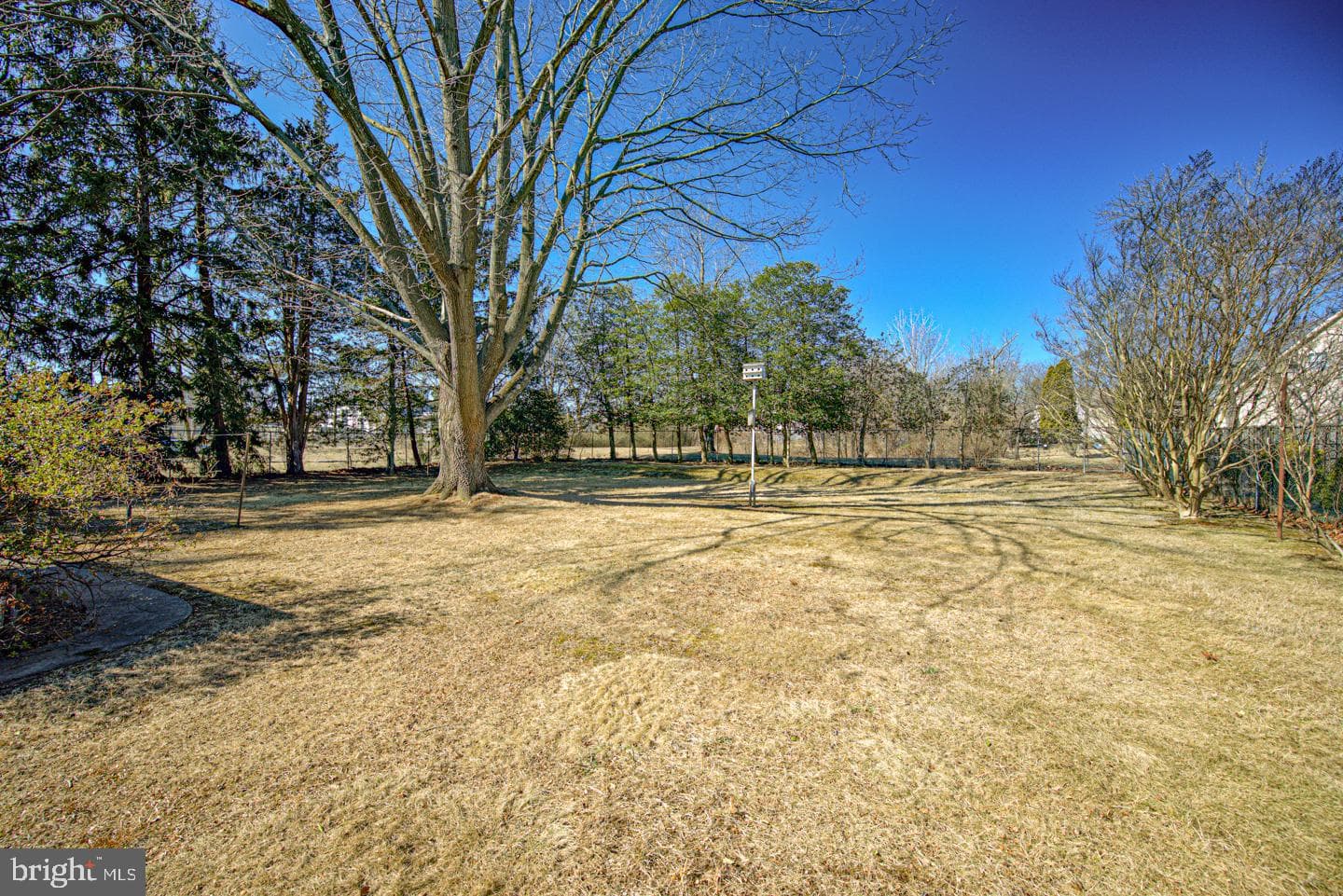 14 Oriole Avenue photo 14