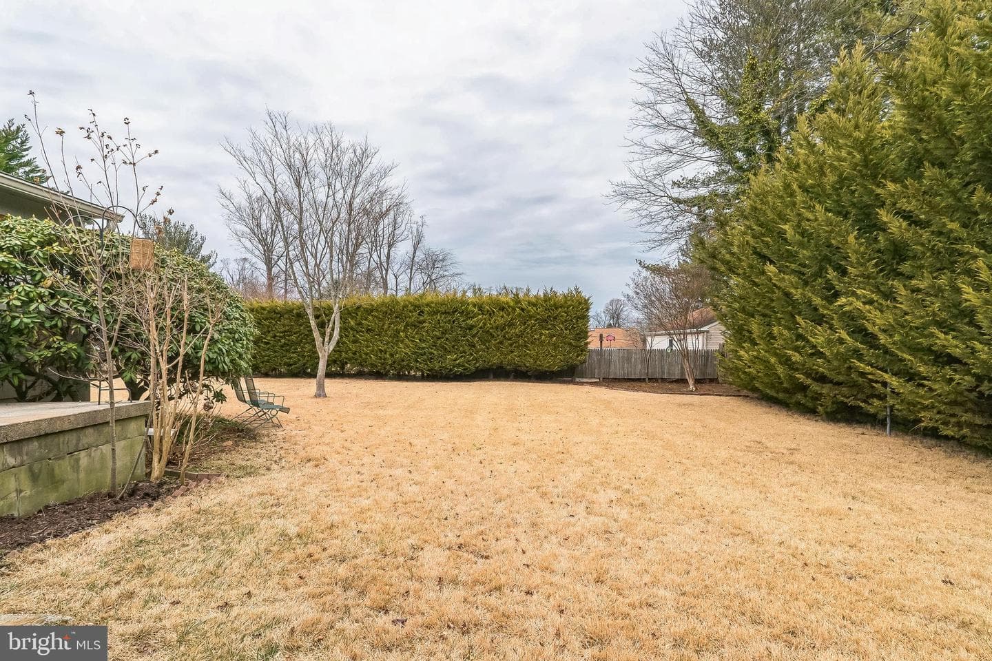116 Locust Street photo 38