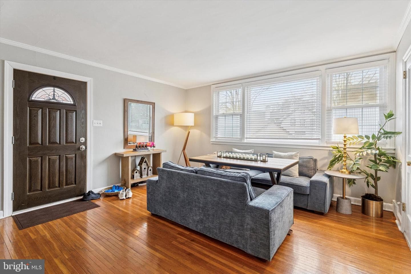 207 Fitzwilliams Road photo 6