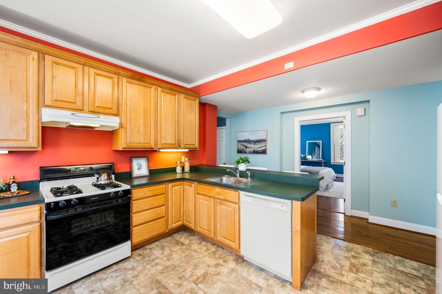 519 Walnut Lane #unit 1 photo 10