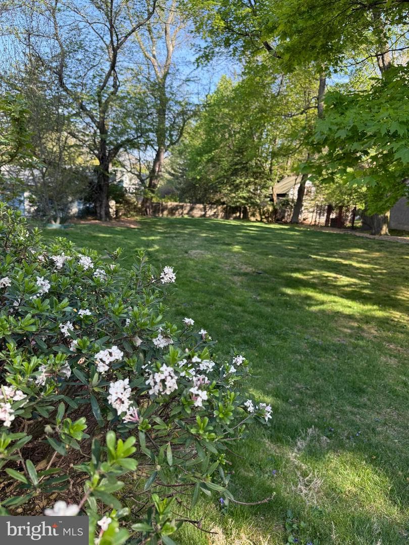 519 Walnut Lane #unit 1 photo 31