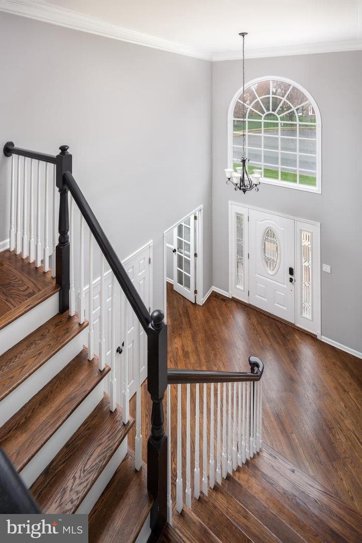 4 Alexandra Court photo 25
