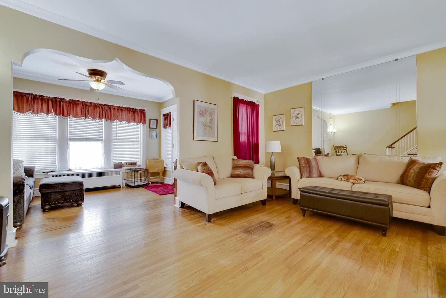 240 Bayard Road photo 12