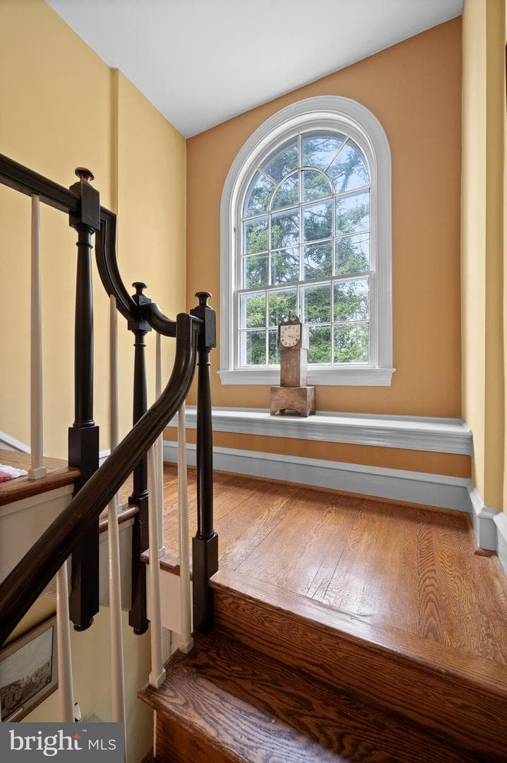 3 Canterbury Lane photo 26