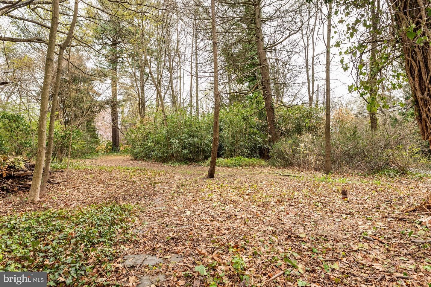 1 E Brookhaven Road photo 55