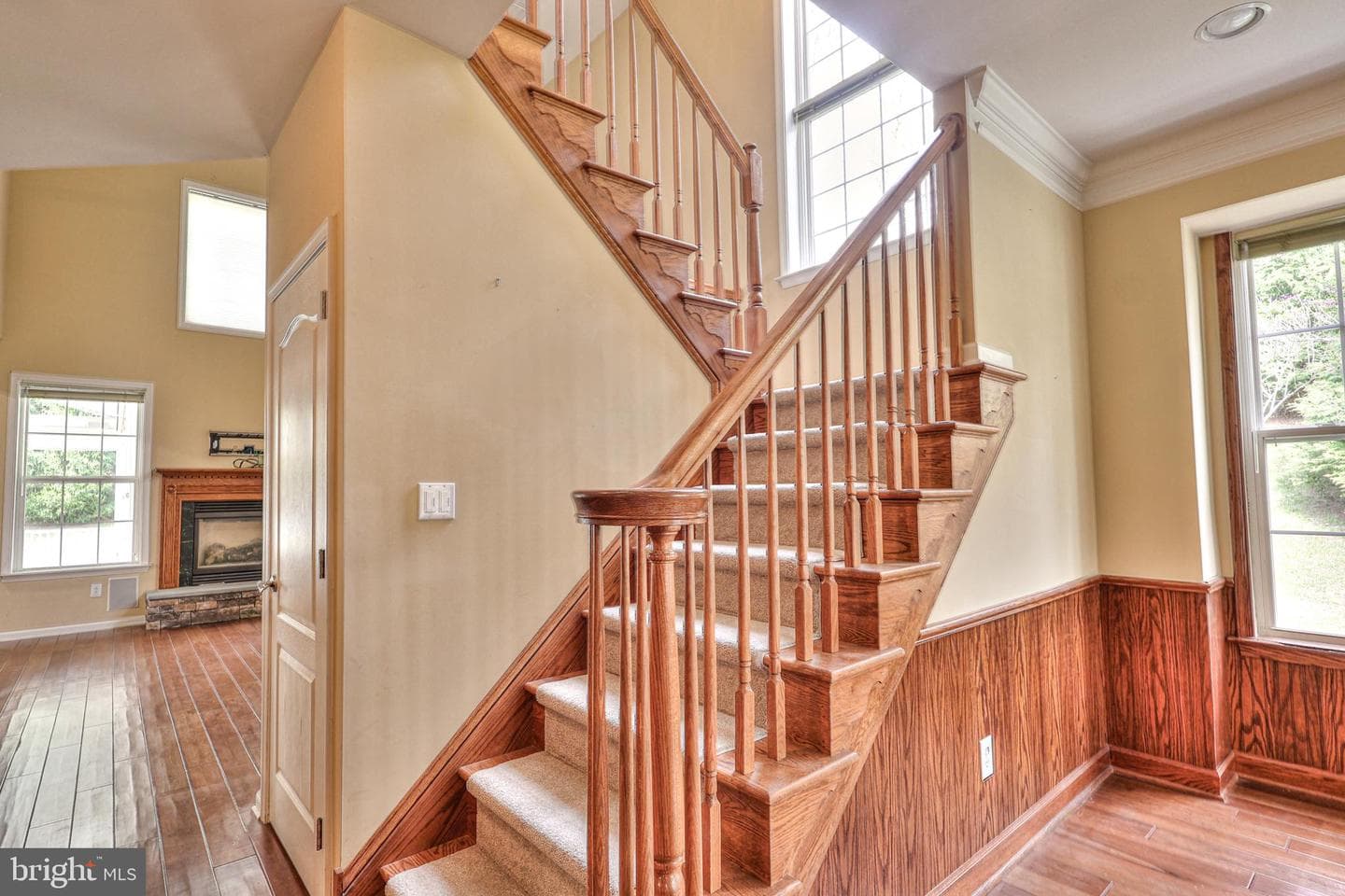 53 Wharton Drive photo 17