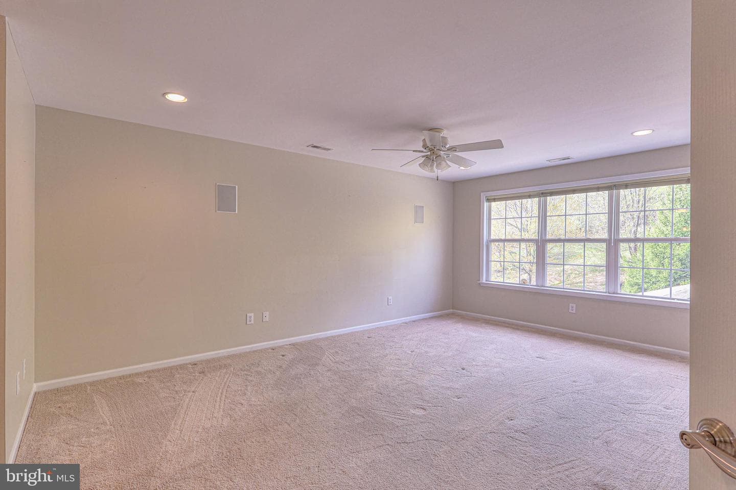 53 Wharton Drive photo 19