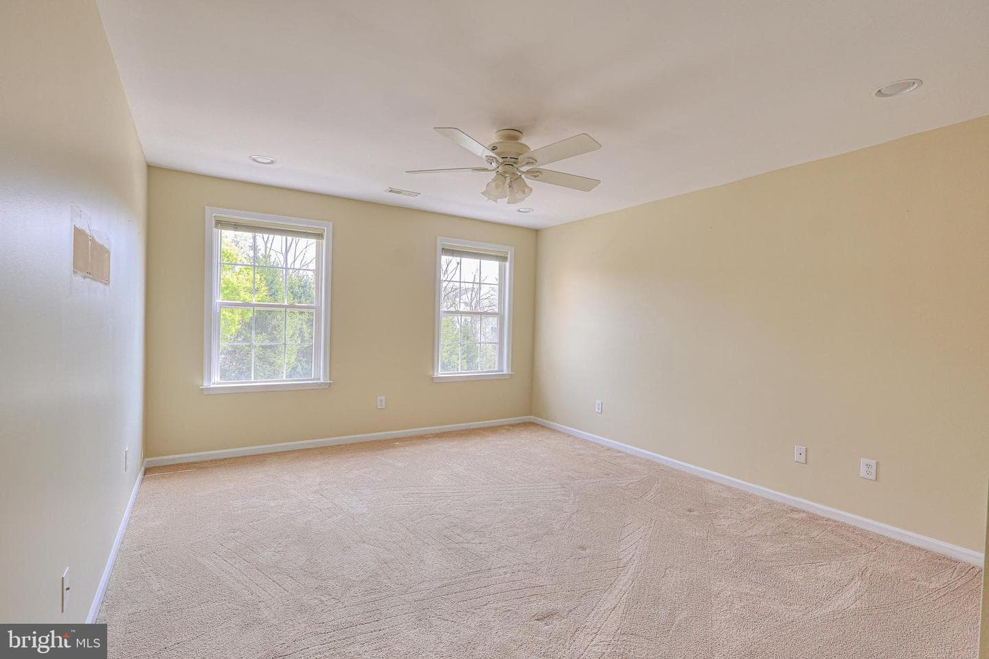 53 Wharton Drive photo 23