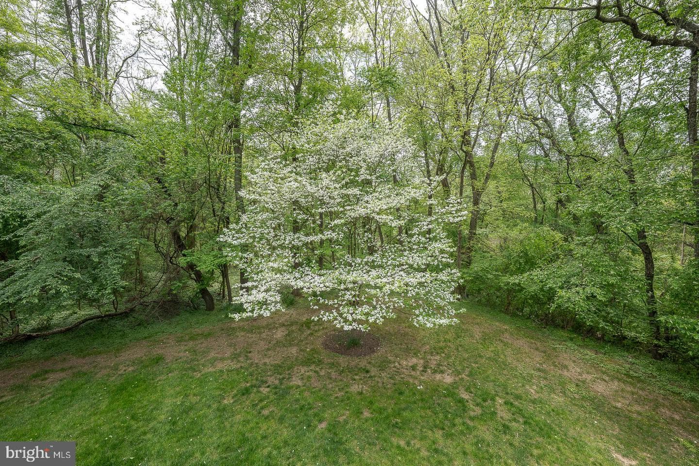 725 Kincaid Mills Lane photo 44
