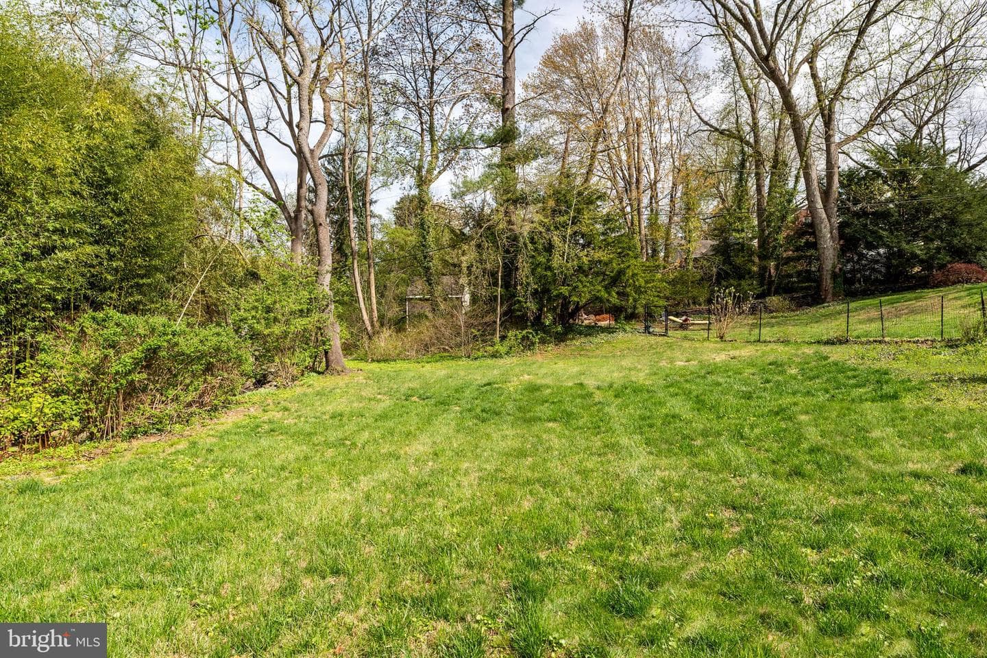 316 Copples Lane photo 31