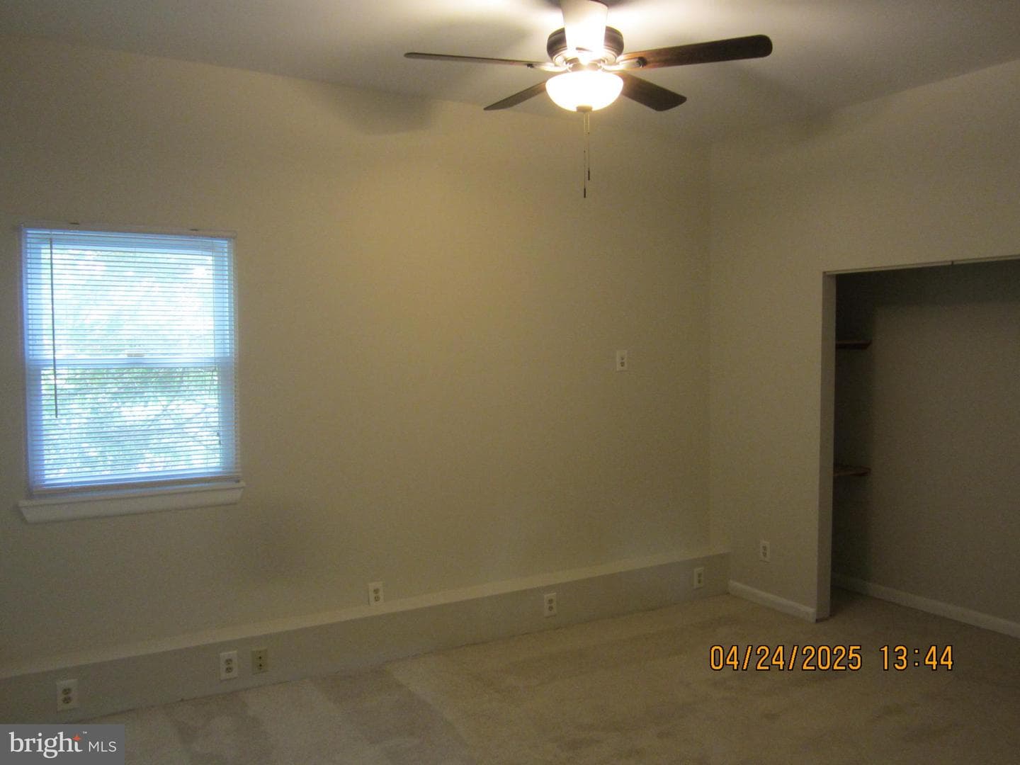 212 Emily Lane photo 20
