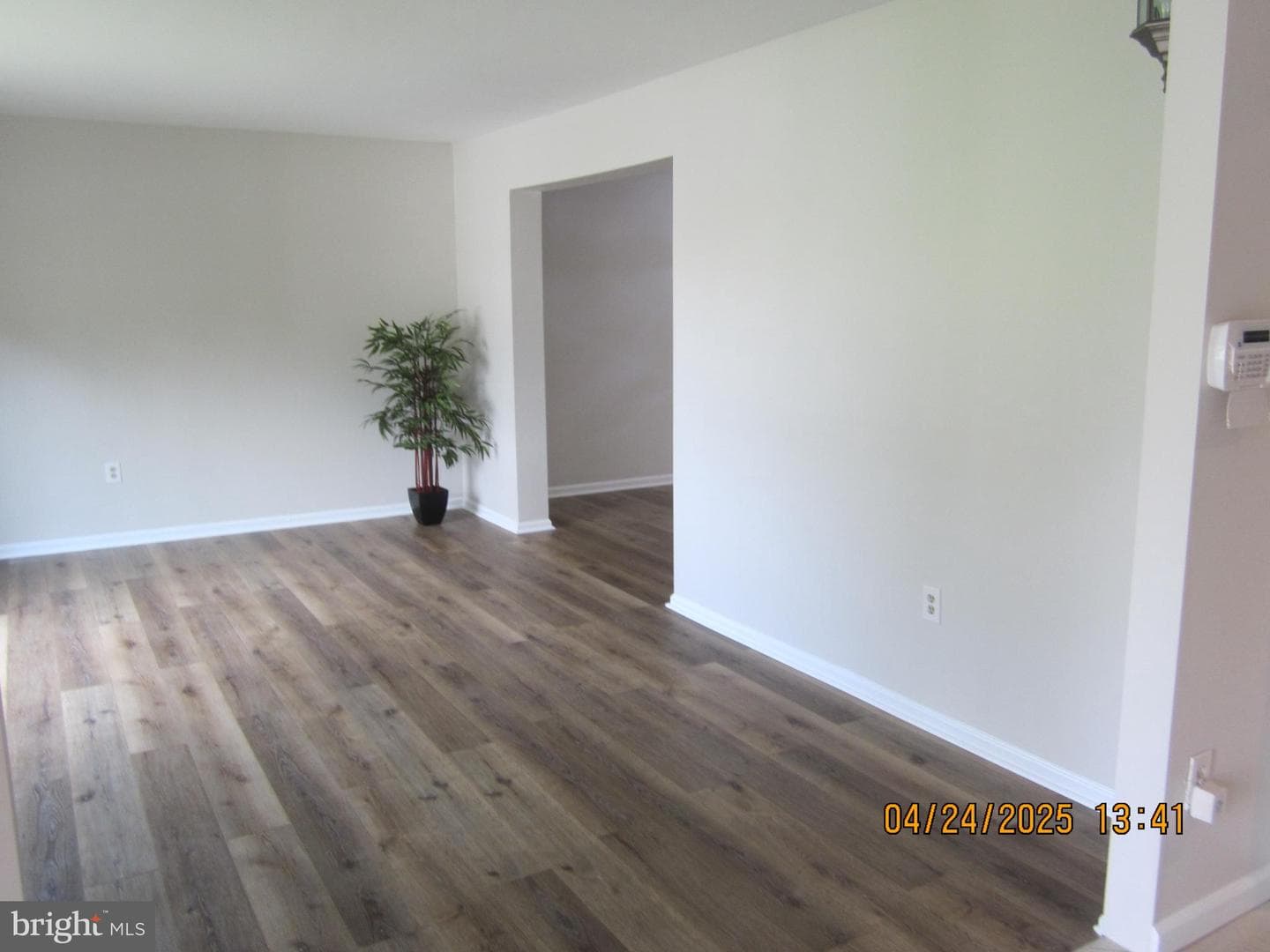212 Emily Lane photo 5