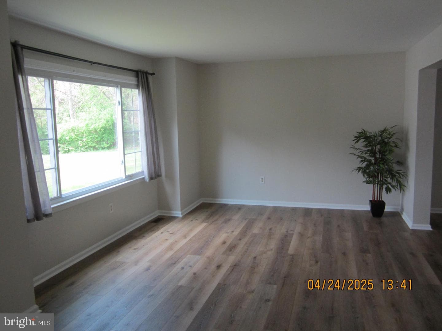 212 Emily Lane photo 6