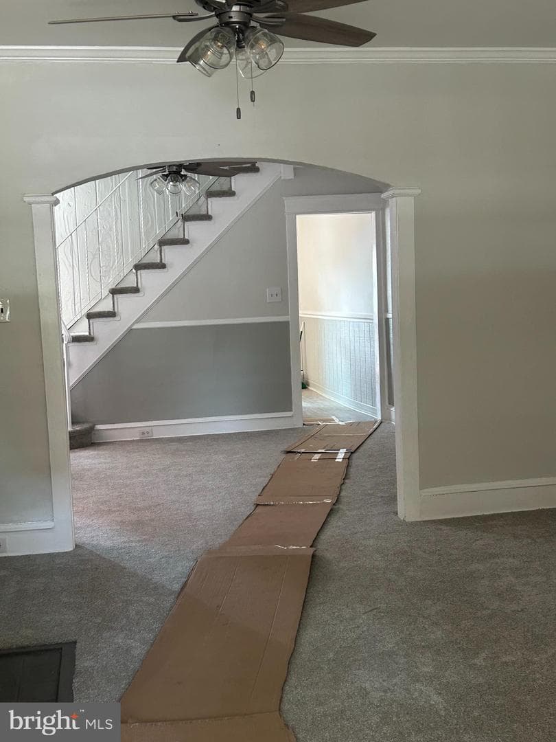 15 Kern Street photo 11
