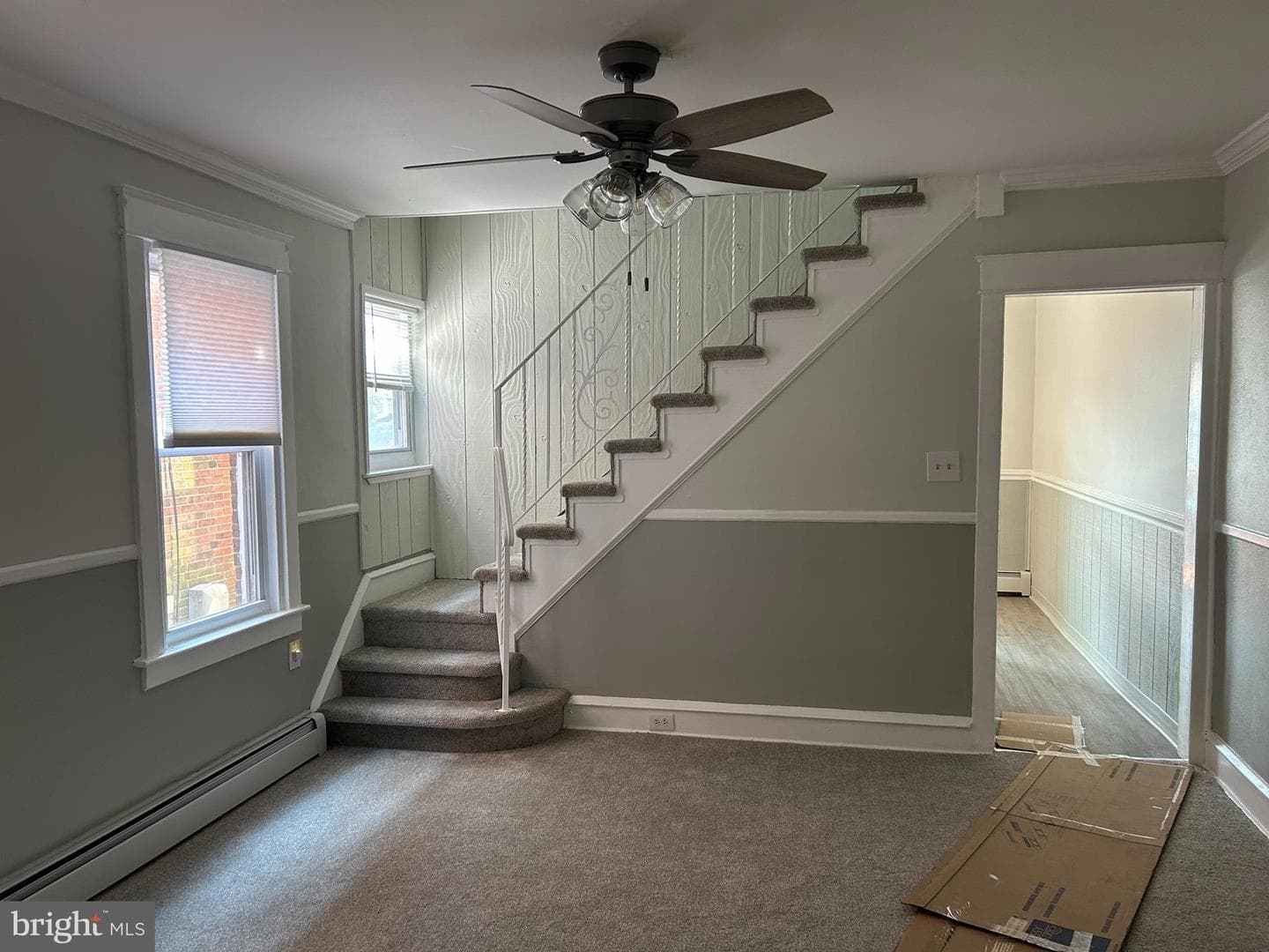 15 Kern Street photo 12