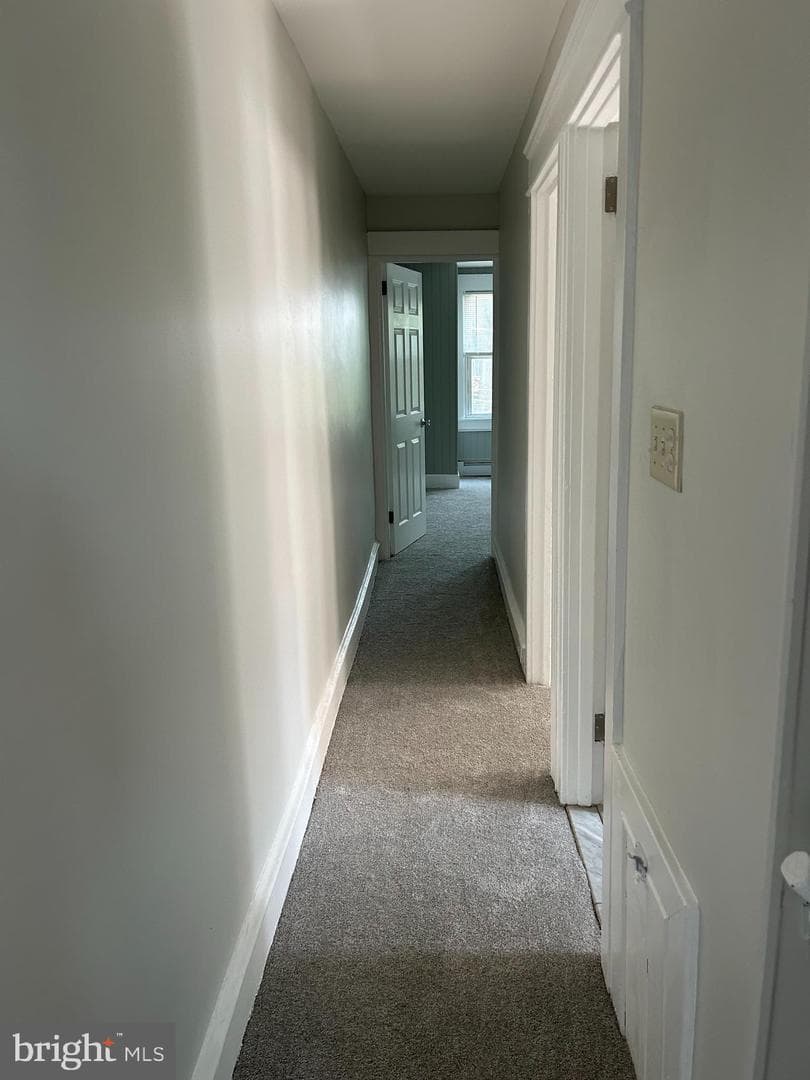 15 Kern Street photo 26