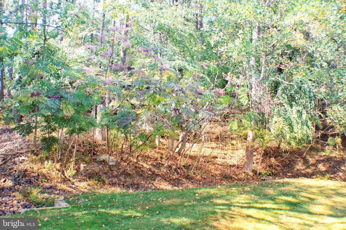1244 Country Club Drive photo 34