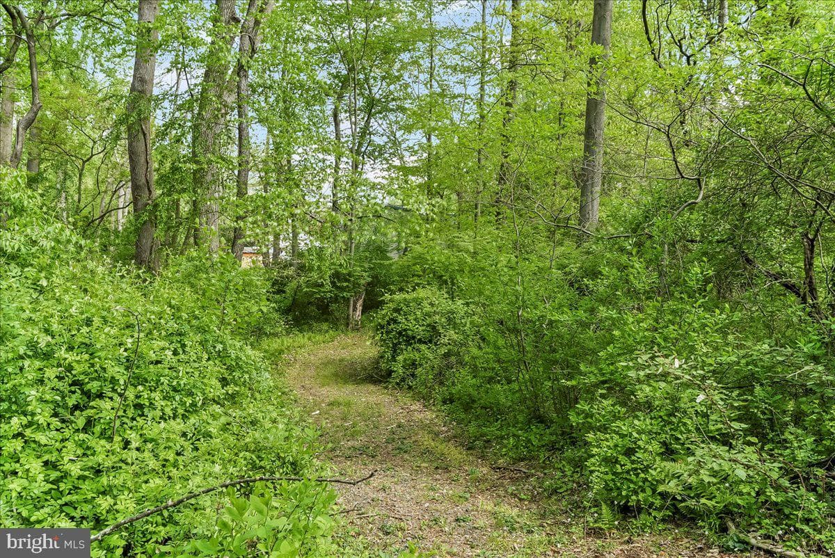 37 Bolling Circle photo 31