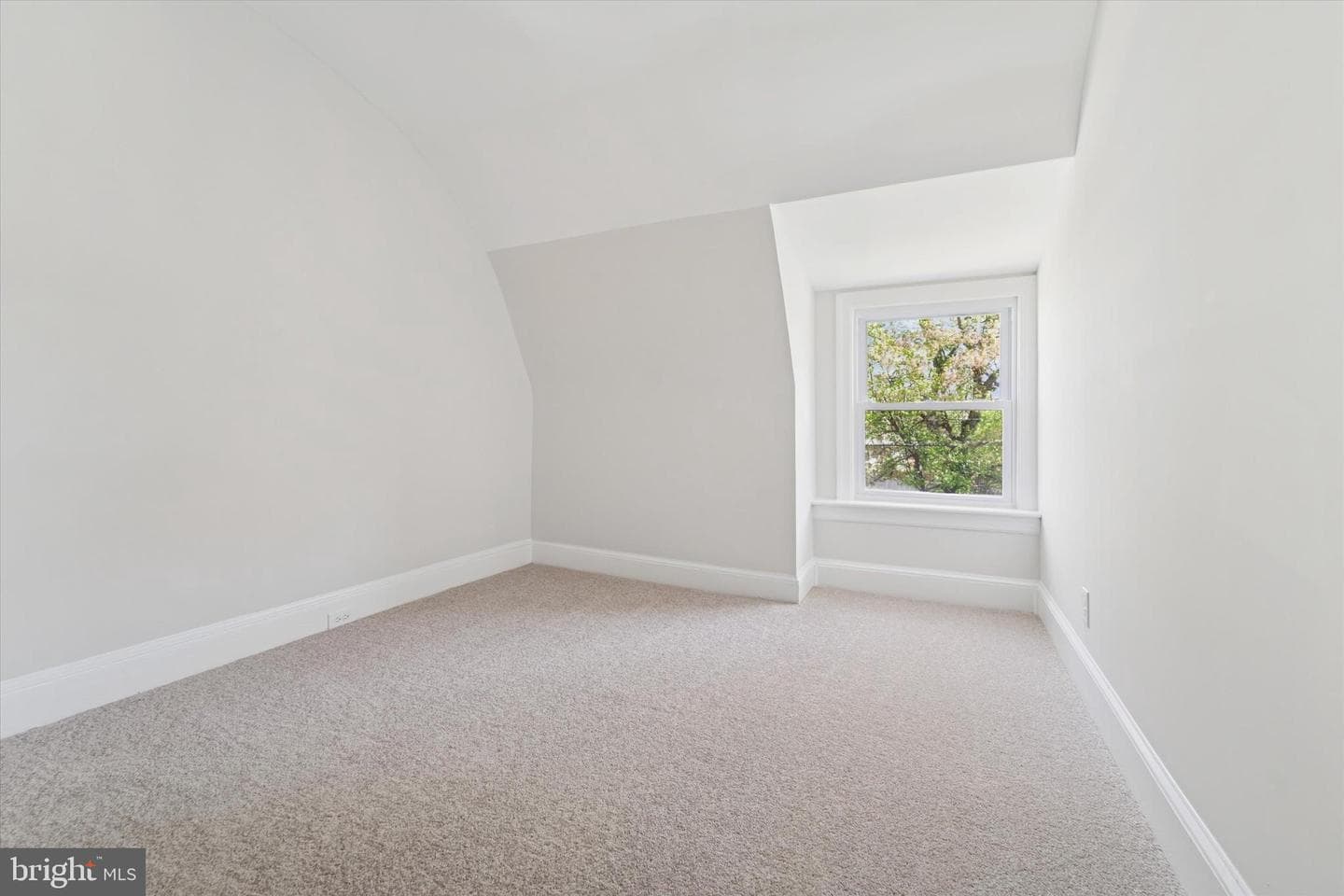 8 Cedar Street photo 10