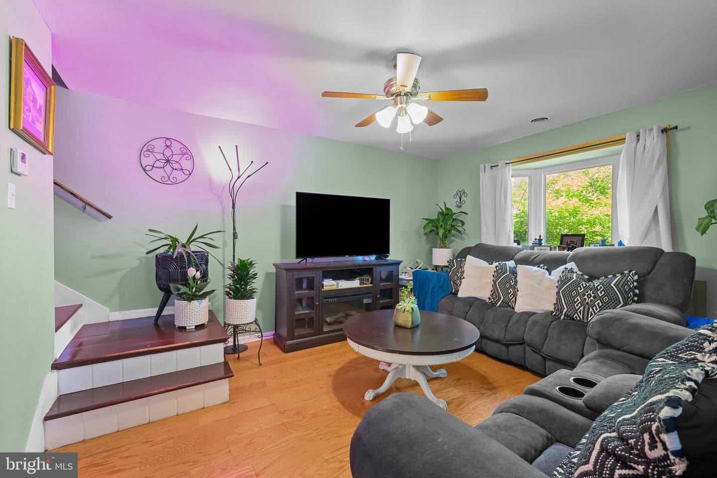 103 Ronaldson Street photo 12
