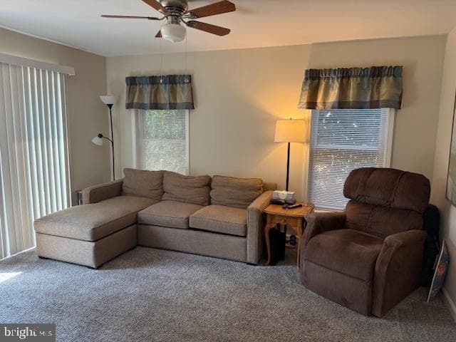 205 Linden Avenue photo 16