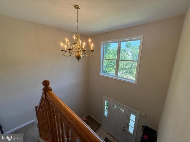205 Linden Avenue photo 8