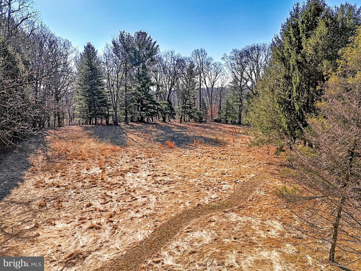 657 N Heilbron Drive photo 4