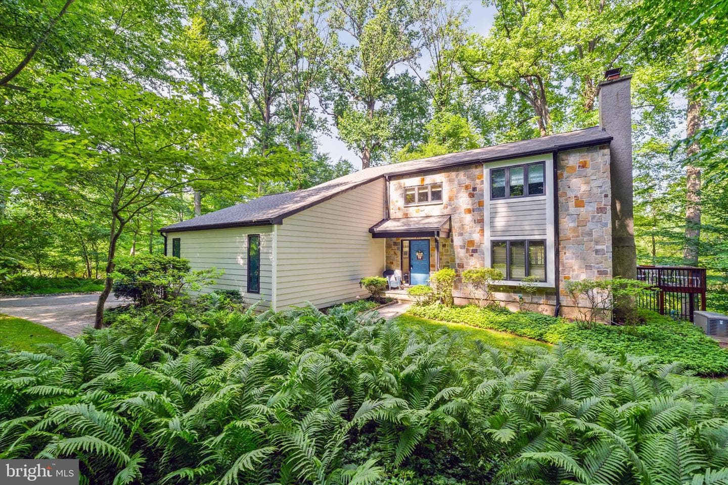 59 Carter Road photo 2