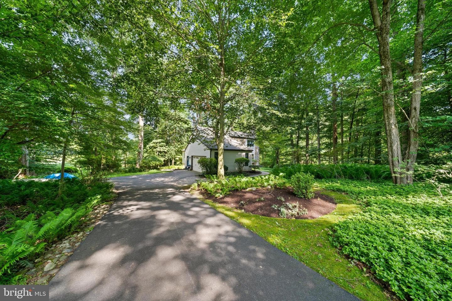 59 Carter Road photo 3