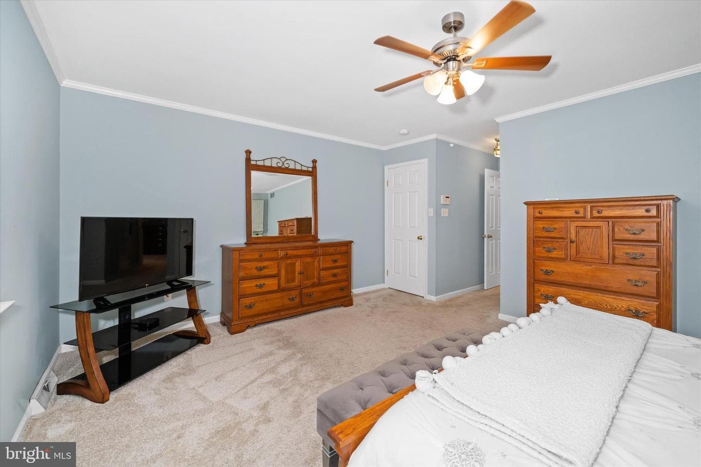 59 Carter Road photo 39