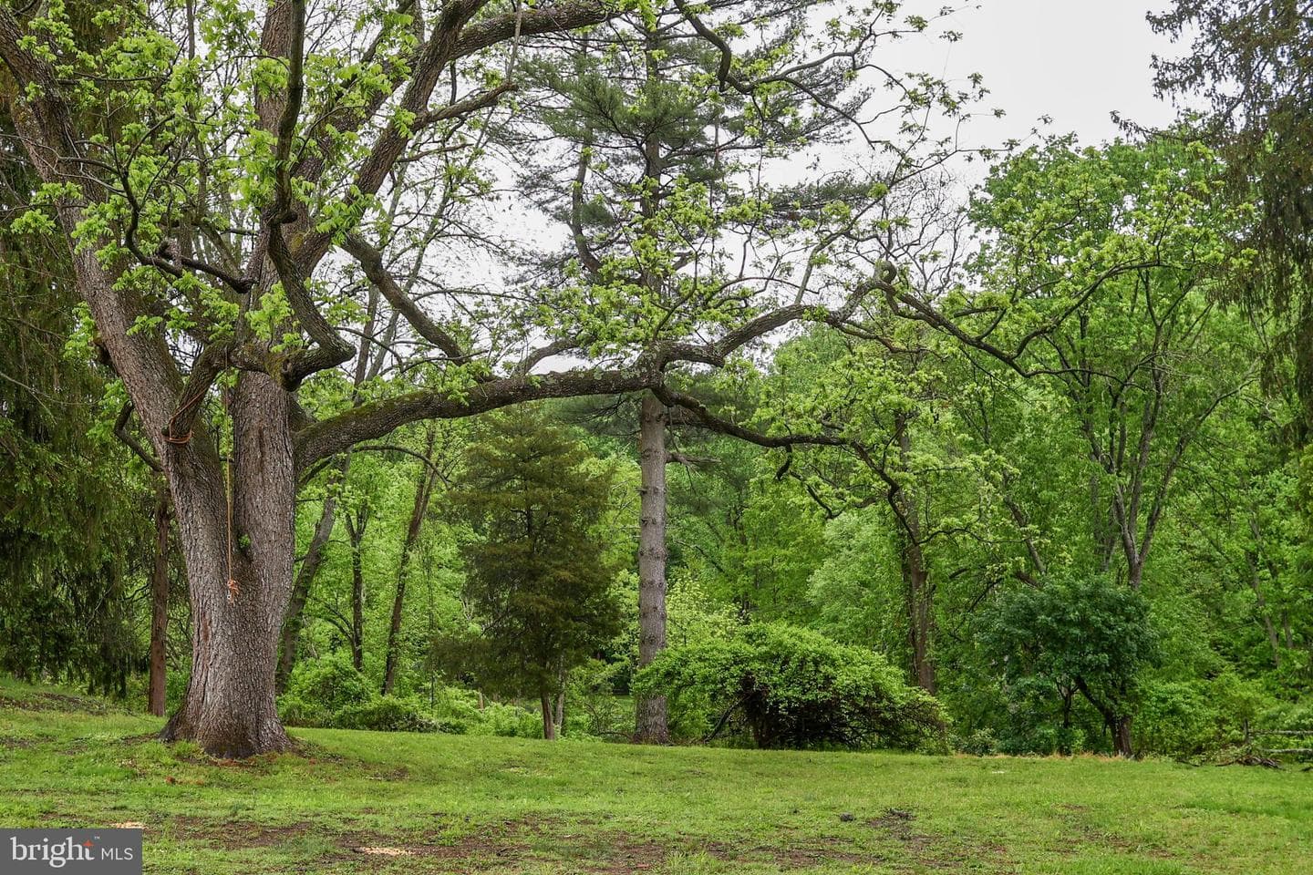 229 Valleybrook Road photo 12