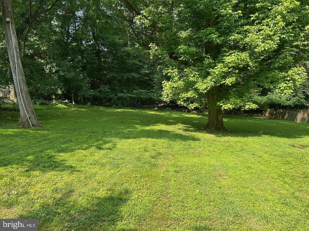 1008 Lincoln Avenue photo 14