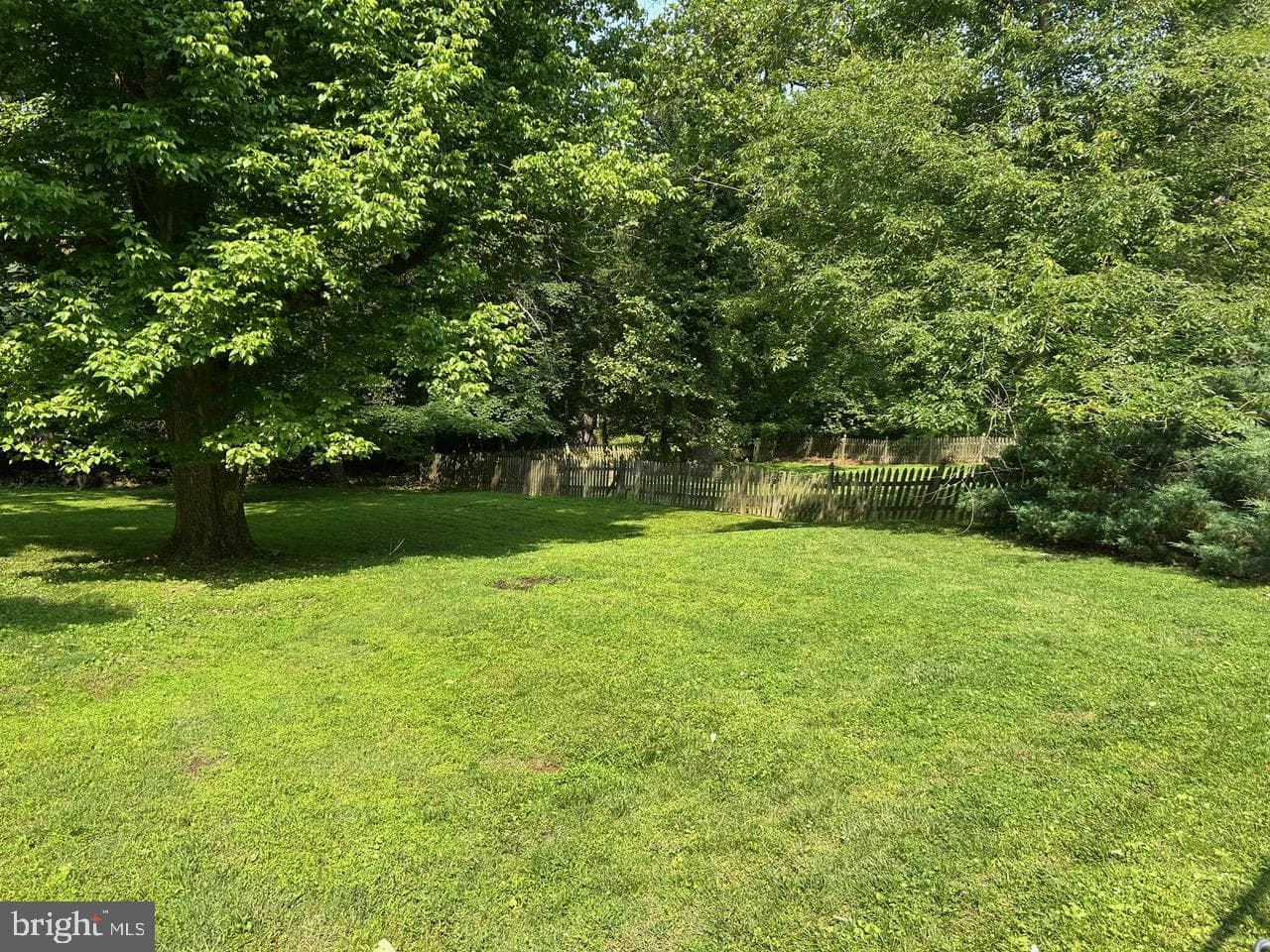 1008 Lincoln Avenue photo 15