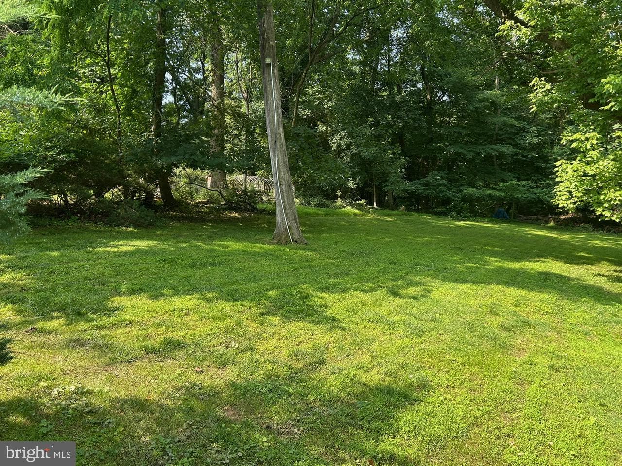 1008 Lincoln Avenue photo 16