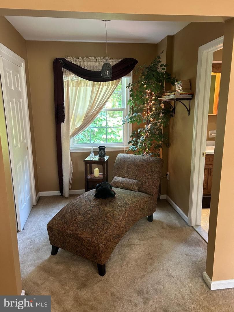 1008 Lincoln Avenue photo 38