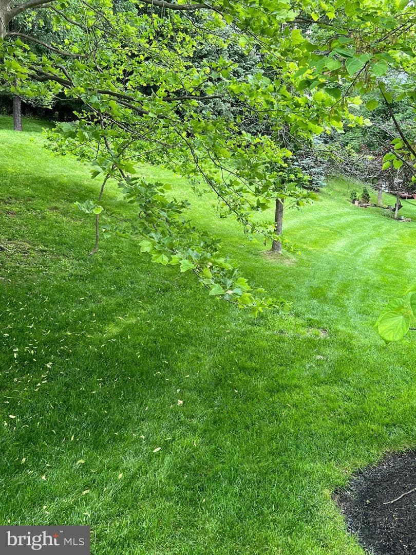 206 Excalibur Drive photo 37