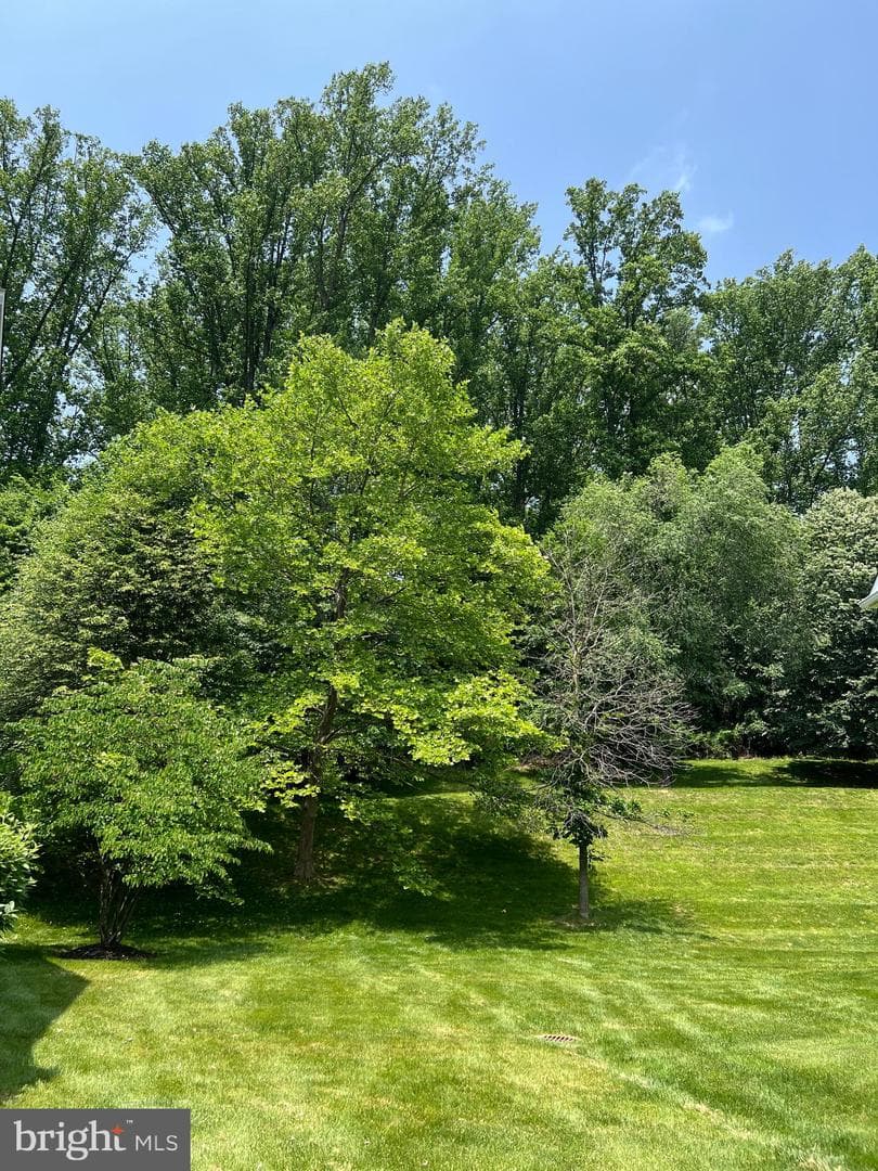 206 Excalibur Drive photo 38