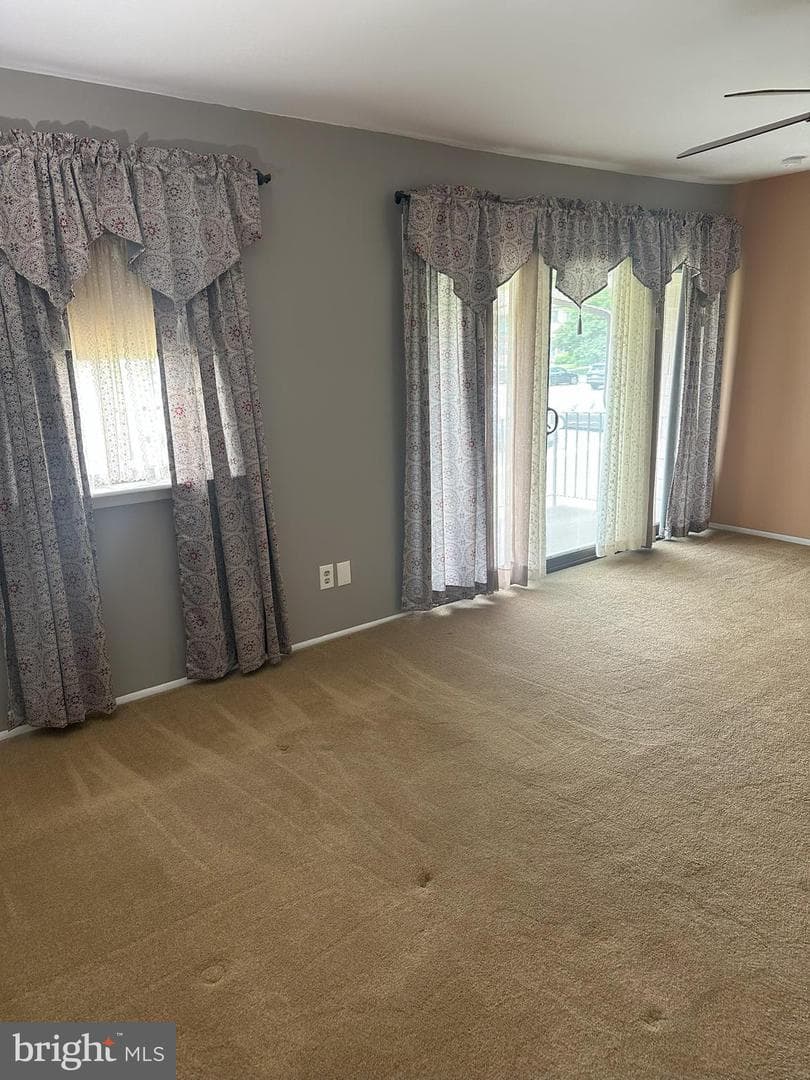239 Bishop Drive photo 16