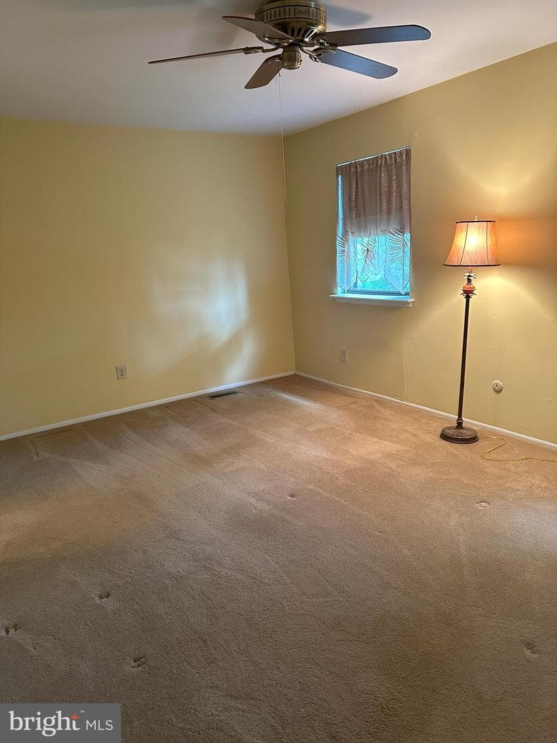 239 Bishop Drive photo 21