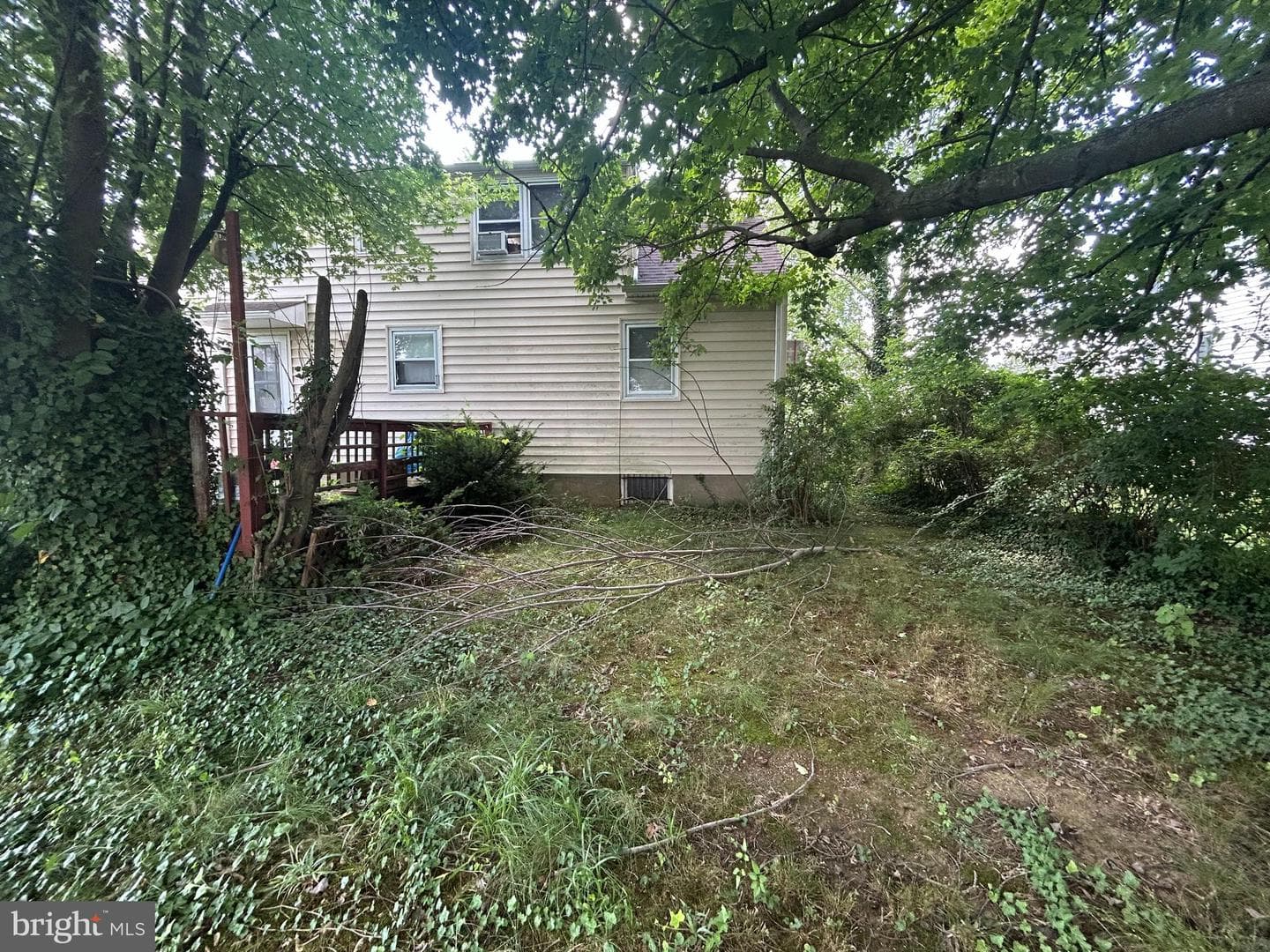 185 Berkley Avenue photo 22