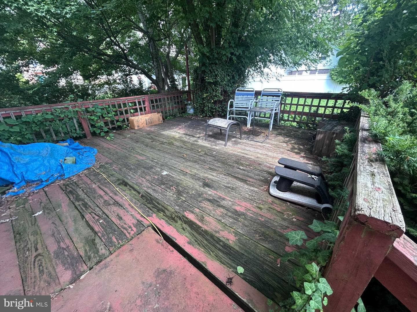 185 Berkley Avenue photo 23