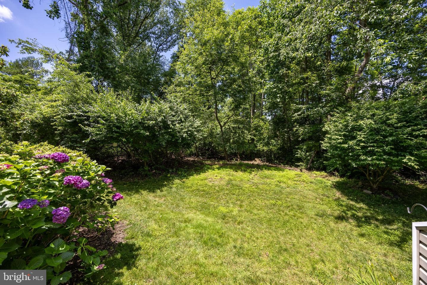 256 Stanton Court photo 38