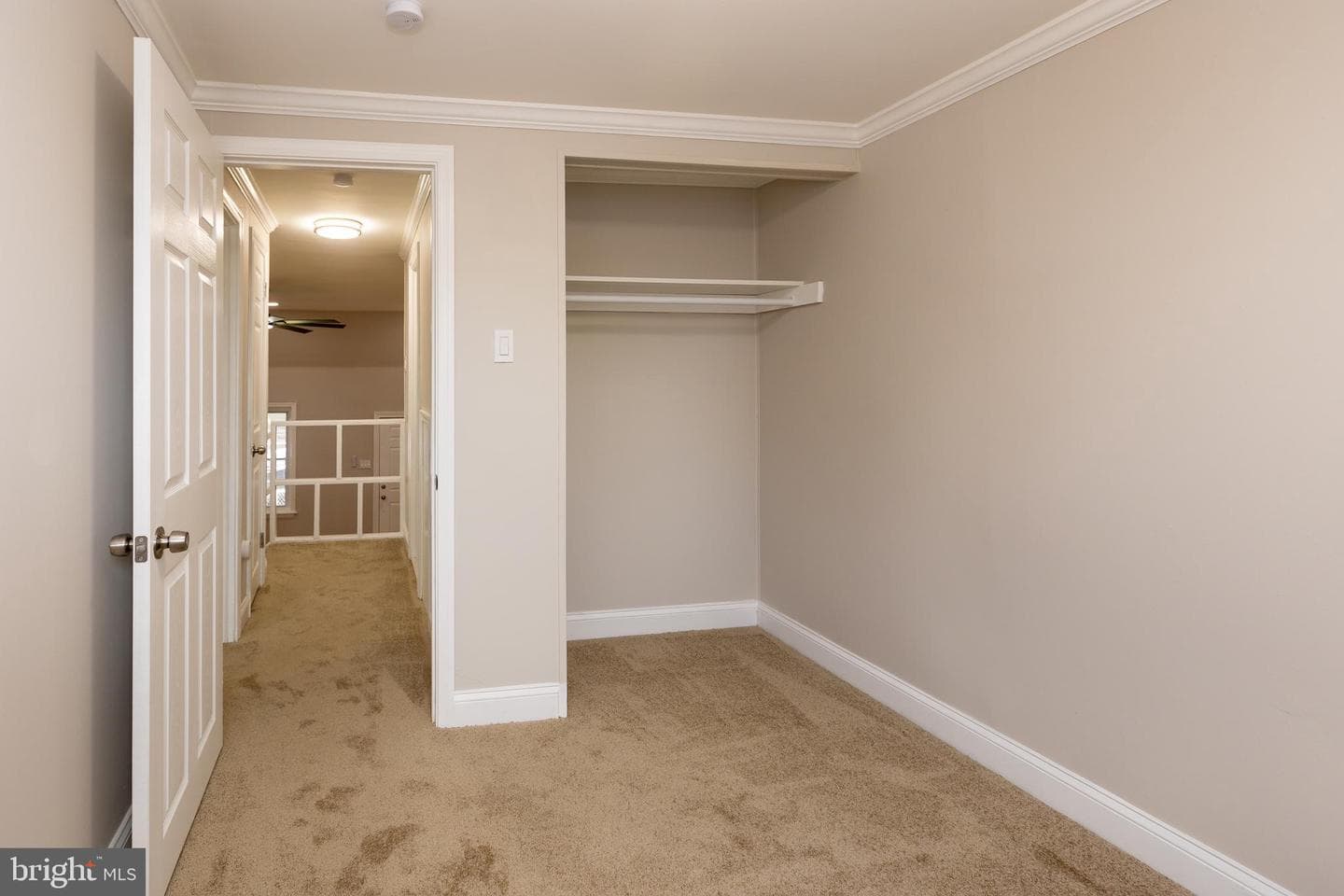 136 Chadwick Avenue photo 10
